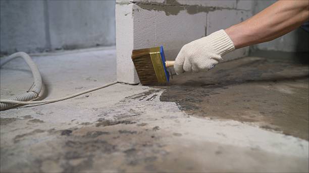 SJ Waterproofing Pros Interior Drainage System coverage map for Wheeler, MI and surrounding area